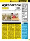 Wykończenie wnętrz - Murator pomaga